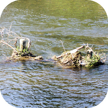 Agger Behelfsbr�cke