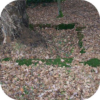 Sch�tzengraben Lohmar