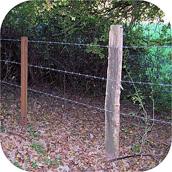 Feldbahnschiene Weidezaun