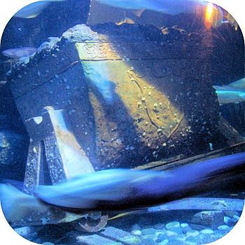 nachgemachte Feldbahn Sealife K�nigswinter