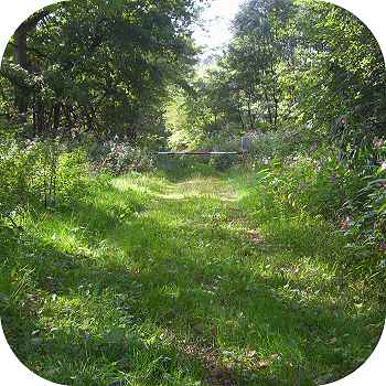 Seligenthal Wahnbachtalstraße