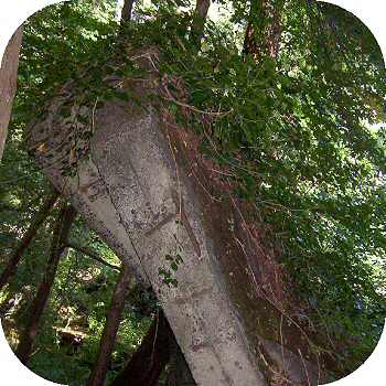 Seligenthal Wahnbachtal